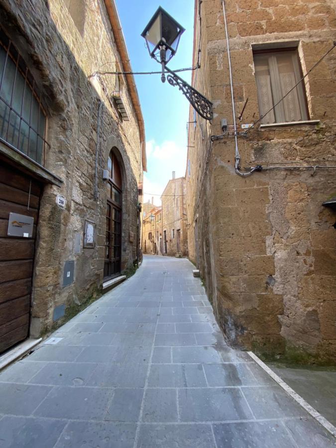 La Sorpresa Monolocale Con Vista Vallata Pitigliano Extérieur photo