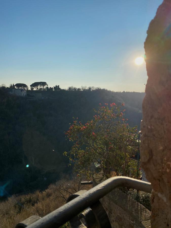 La Sorpresa Monolocale Con Vista Vallata Pitigliano Extérieur photo