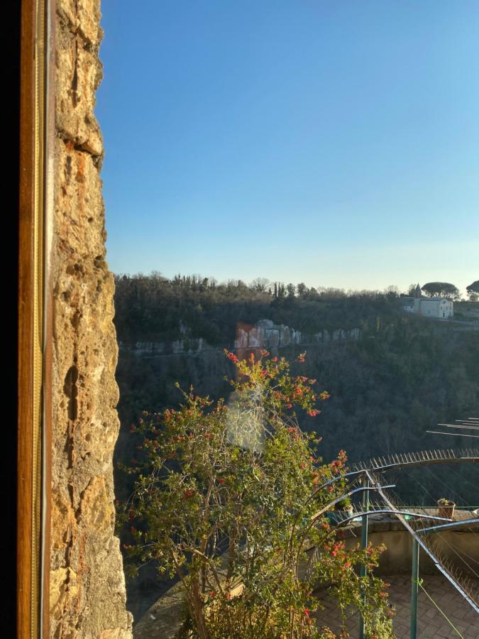 La Sorpresa Monolocale Con Vista Vallata Pitigliano Extérieur photo