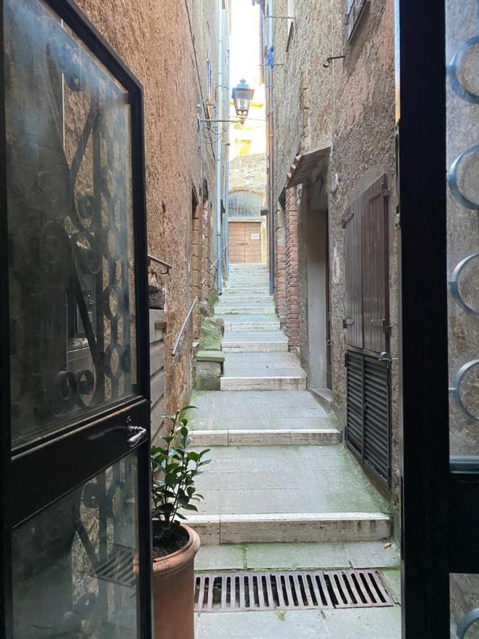 La Sorpresa Monolocale Con Vista Vallata Pitigliano Extérieur photo